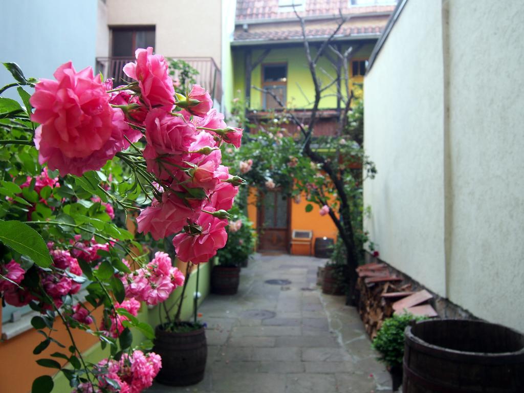 Ni 埃特诺康纳克塔萨那旅馆酒店 外观 照片